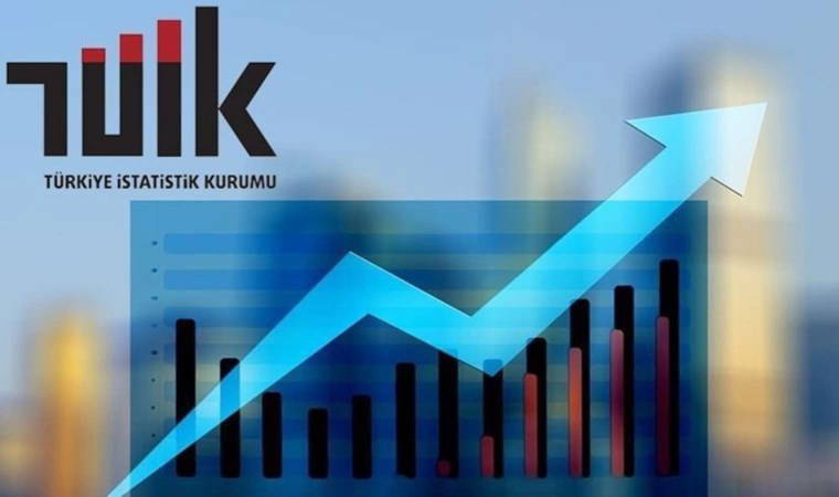 Eski TÜİK Başkanı, Şimşek'i işaret etti