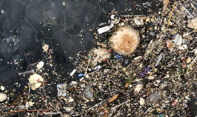 Depremden sonra yeni tehlike! Marmara Denizi'nde korkutan istila