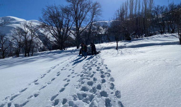 Kar altında kalan samanları çıkartıp, hayvanları için taşıdılar