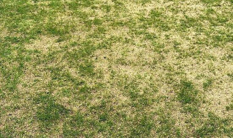 Tartışma konusu olmuştu: Ankaragücü'nden zemin açıklaması!
