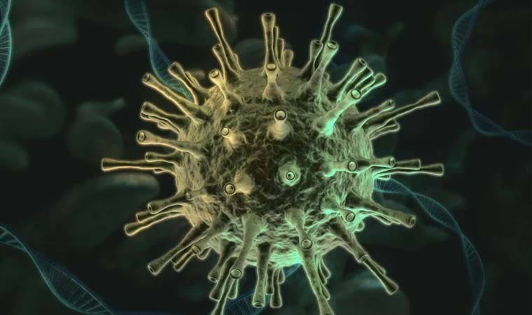 Hıyarcıklı veba nedir? Hıyarcıklı veba belirtileri neler?