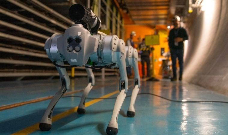 CERN'deki zorlu koşullara uyum sağlayacak 'robot köpek'