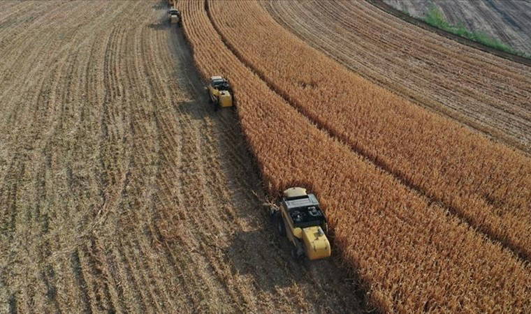 TÜİK açıkladı: Tarım ÜFE ocakta arttı