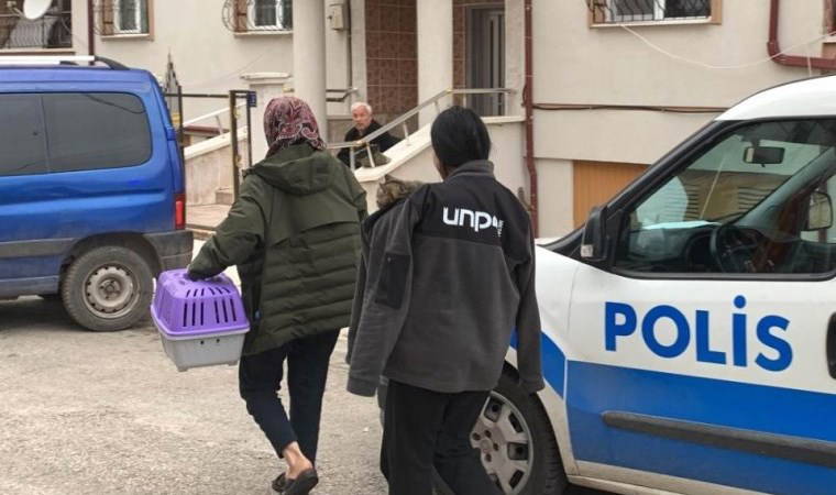 Karaman’da evde çıkan yangında kedilerini kurtarıp dışarıya çıktılar