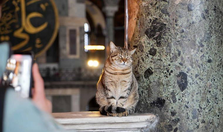 Ayasofya'ya girdi