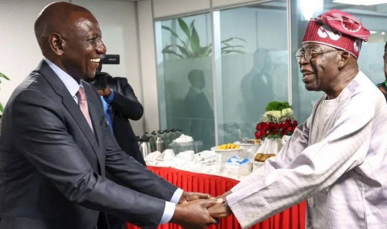 Afrika'nın 'uçan devlet başkanları' yurt dışı seyahatleri ve harcamaları nedeniyle eleştiriliyor