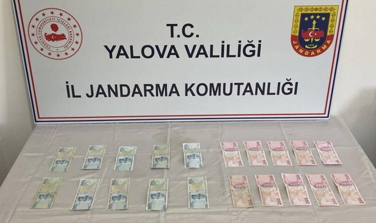 Yalova ve İstanbul'da sahte para operasyonu: 2 tutuklama