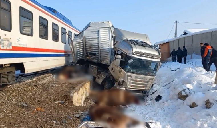 Muş’ta feci kaza... Yolcu treni, hayvan yüklü TIR'a çarptı: 2 ölü, 2 yaralı