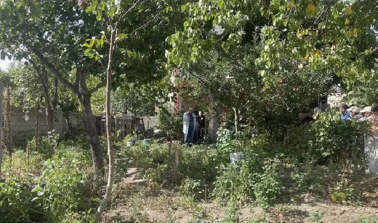 Çorum'da acı olay... Budadığı ağaç ölümüne neden oldu!