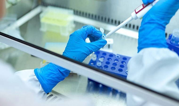 Tedavi ve tanı süreçleri kritik