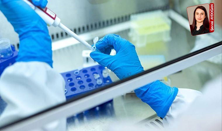 Tedavi ve tanı süreçleri kritik... AİFD, Türkiye’de Nadir Hastalıklar Raporu’nu açıkladı