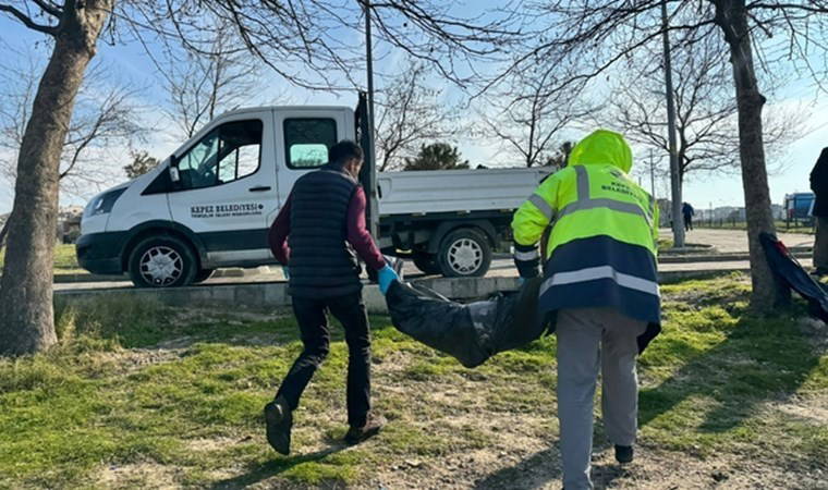 Çanakkale'de ölü yavru yunus sahile vurdu