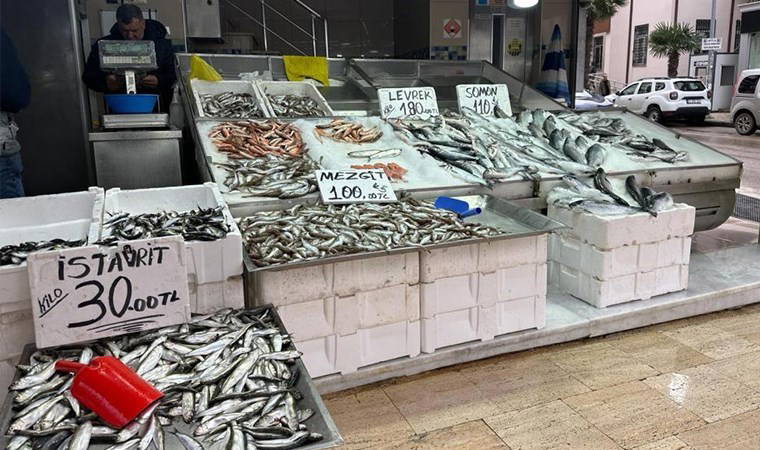 Prof. Dr. Samsun: “Halkımız küçük balıkları almamalı”