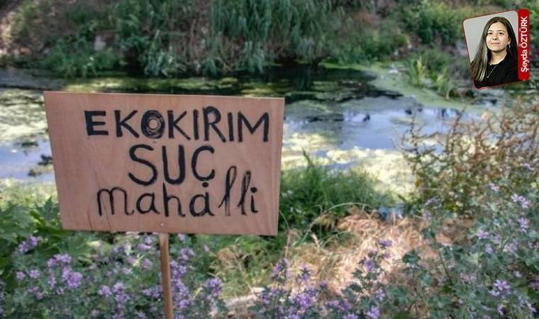 Türkiye'nin durumu ne?