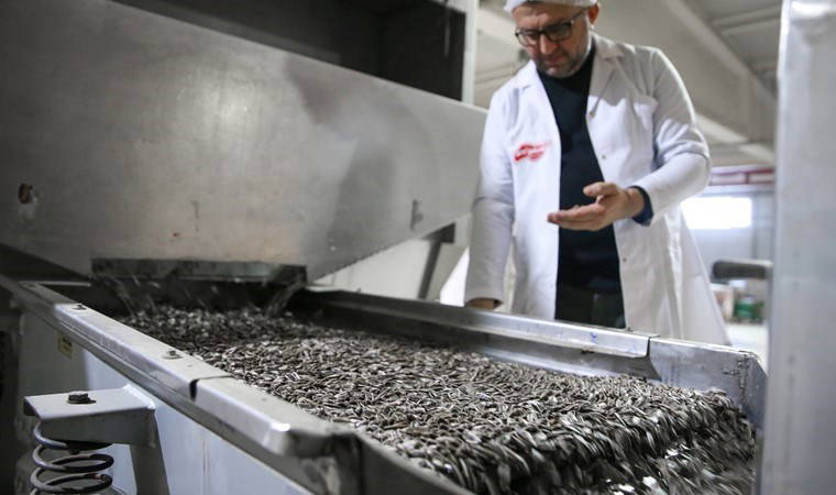 Su tüketimi az olduğu için tercih ediliyor: Konya Ovası'nda üretimi artıyor!