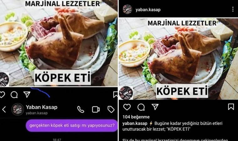 Köpek eti satıldığı iddia edilmişti: Gerçek ortaya çıktı