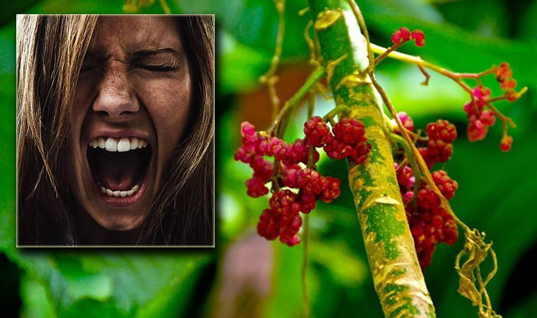 'Üç sezaryen, bir doğal doğum yaptım...'