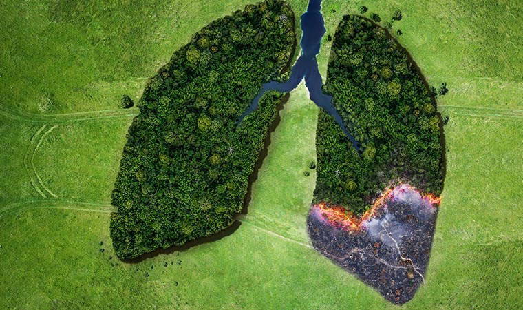 İklim krizi sağlık sektörünü vuracak