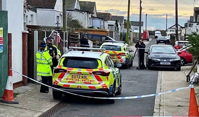 Torununu ziyaret etti: Köpeklerin saldırısında öldü