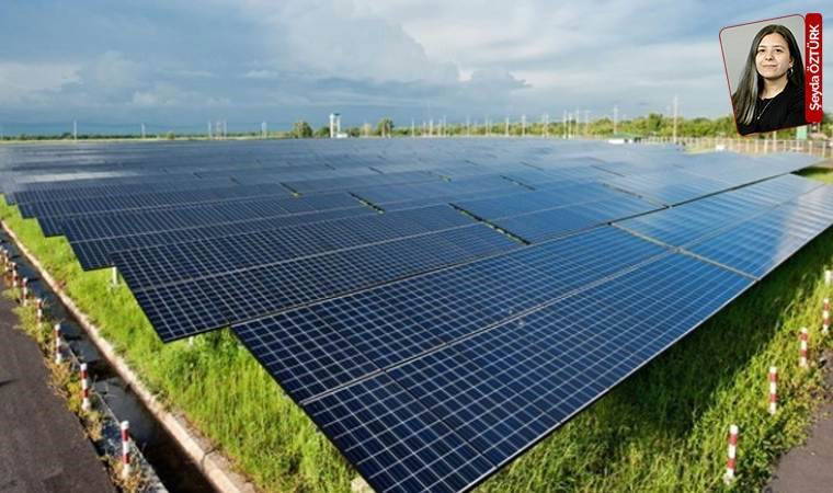 Uzmanlar temiz enerji projeleri için verimli tarım arazilerinin seçilmesine tepkili: Doğru yatırım yanlış yerde