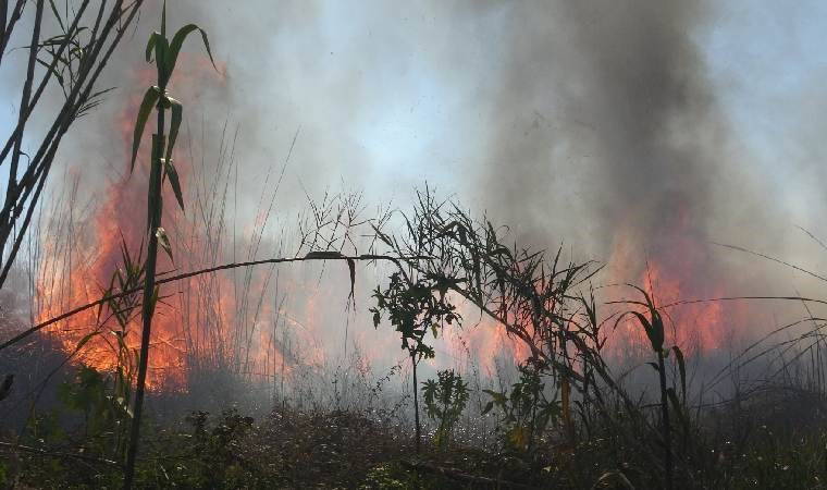 Korkutan yangın... Alevlerin boyu 5 metreye kadar yükseldi!