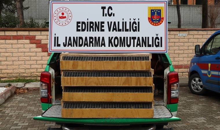 Otobüste 589 kuş ele geçirildi: Sürücüye 4 milyon lira ceza