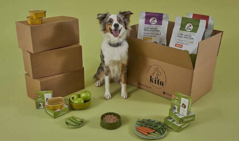 Sağlıklı evcil hayvan mama markası, 3,8 milyon dolar değerleme üzerinden 225 bin dolar yatırım aldı