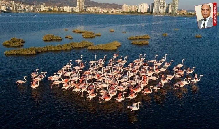 Flamingoların yaşam alanına sondaj (01 Mart 2024)