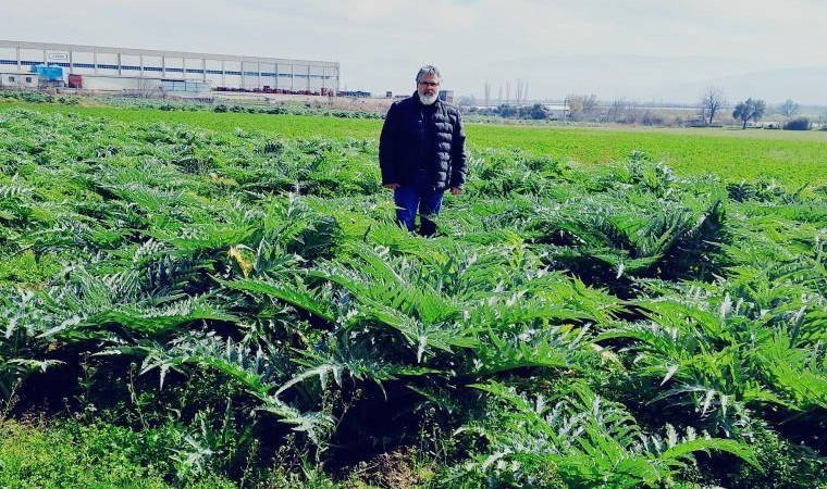 Eskiden sıradan bir sebze yemeğiydi, şimdi ilaç niyetine tüketiliyor! Sırrını çözmek için araştırma tarlası oluşturdu...