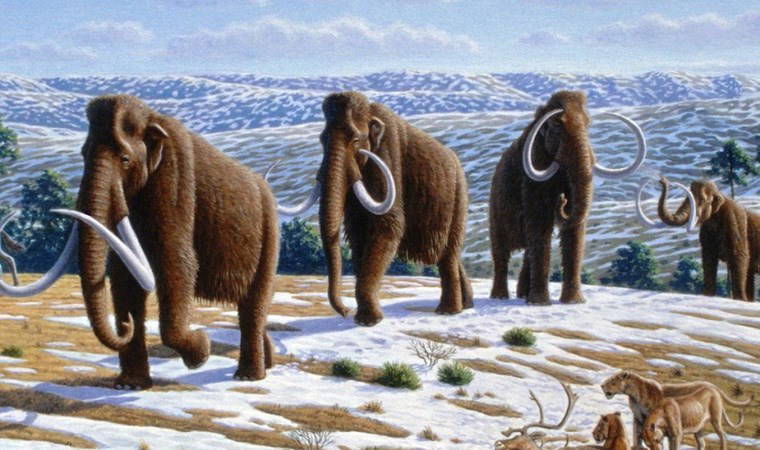 Geri getirme çabaları sonuç verdi...