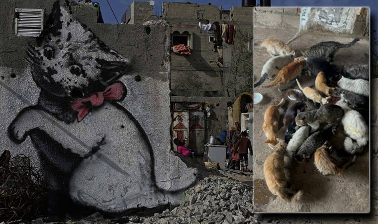 ‘Savaşın ve açlığın pençesinde…’