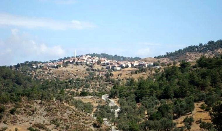 Yerleşim yerine ve fıstık ağaçlarının göbeğine RES