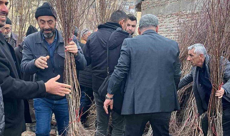 Elazığ'da muhtar adayından 'Sıfır Atık' hamlesi: Broşür yerine fidan dağıttı