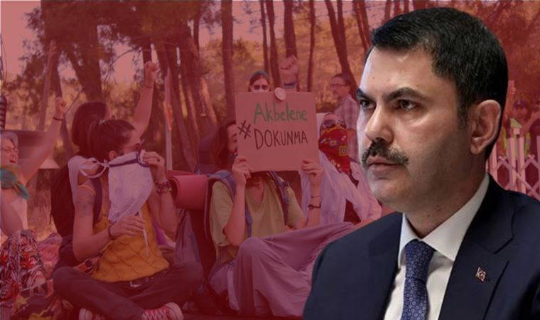 Akbelen'den Dipsiz Göl'e, Ayder Yaylası'ndan Uzungöl'e... İşte Kurum'un bakanlığı dönemindeki çevre katliamları