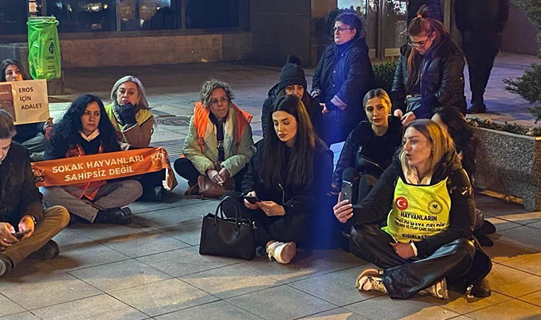 'Eros' davasındaki karara hayvanseverlerden tepki: Oturma eylemi yaptılar