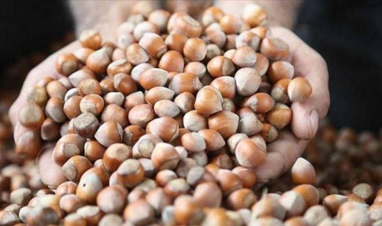 Tüm Köy Sen'den Ferrero'ya tepki: 'Ferrero piyasayı ele geçirdi!'