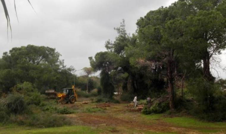 Sorgun Ormanı'nın sit alanı statüsü değiştirildi mi?