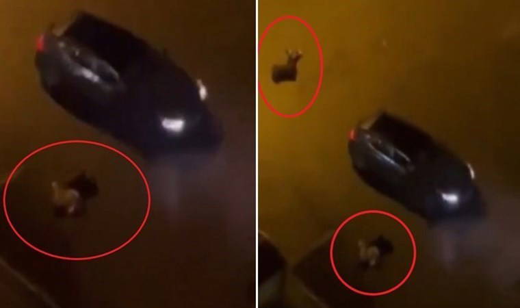 Batman’da dehşet... Birlikte yaşadığı kadın ve yanındaki erkeği öldürdü