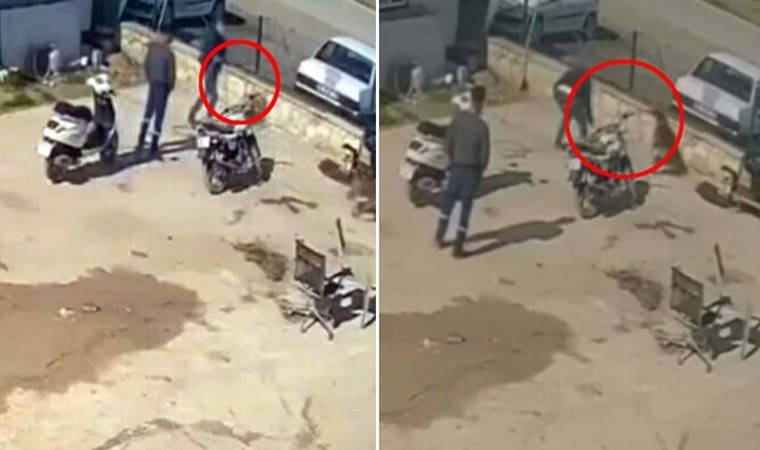 Kedisini öldüren ve aracına zarar veren köpeği hortumla döven şüpheliye ev hapsi