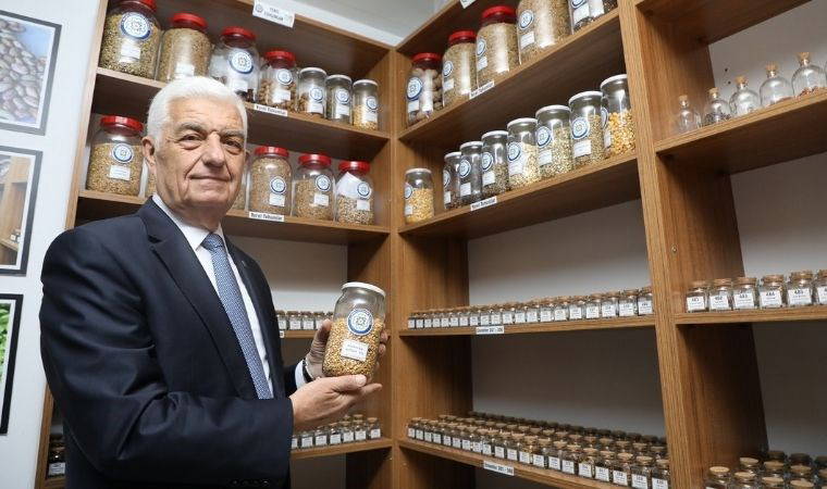 Muğla’da büyükşehir 19 milyon yerel tohum dağıttı