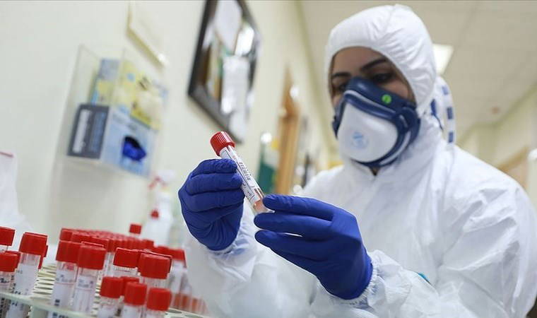 Covid-19'un kökenleri araştırıldı: 'Laboratuvar üretimine işaret ediyor'
