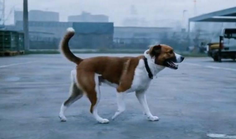 OpenAI'nin Sora'sı ile üretilen yeni videolar paylaşıldı