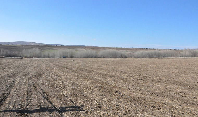 Nadasa bırakılan alanlara ekilecek: 20 ton ürün beklentisi...