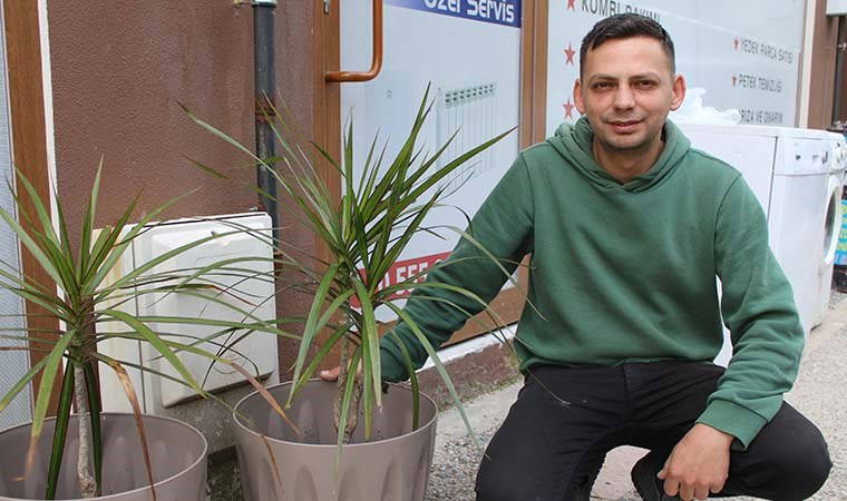 Esnafın çağrısını duyan hırsız, çaldığı süs bitkisini geri getirdi