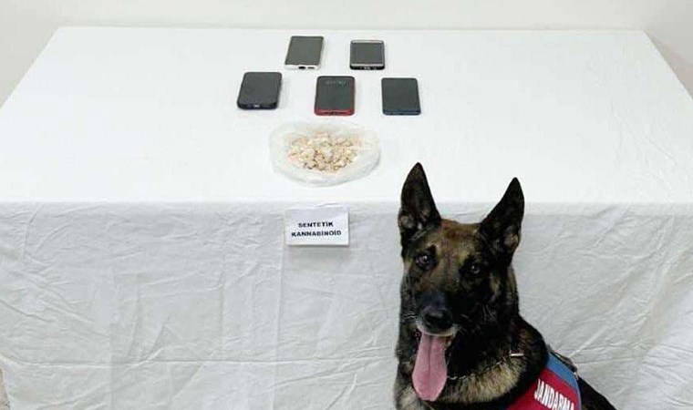 Otomobille bonzai ham maddesi sevkiyatına 4 tutuklama