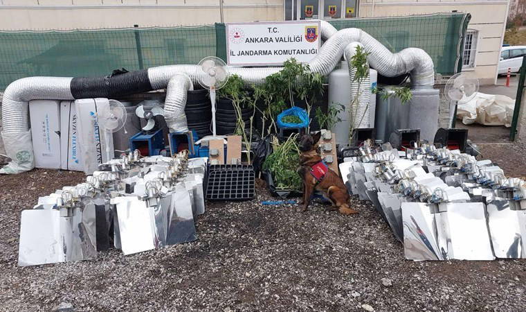 Uyuşturucu ticaretine 1 tutuklama