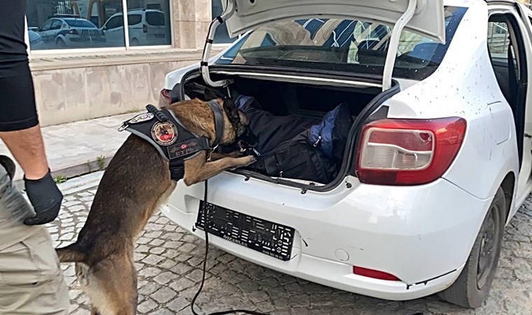 Otomobildeki 11 kilo uyuşturucuyu 'Kongar' buldu: 1 gözaltı