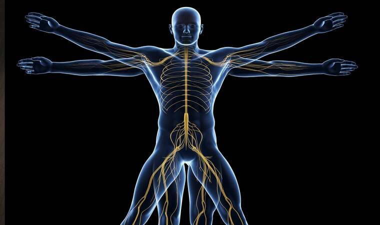 Bilimden mucizevi keşif: Hastalıkların temel nedeni bulundu