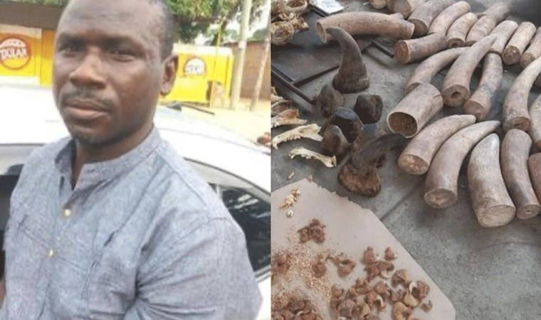 Onlarca hayvanı öldürmüştü: Kaçak avcı hakkında karar verildi!