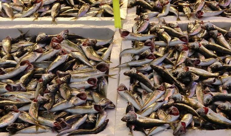 Ramazanla birlikte balık satışları azaldı